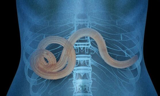 pasożyt w organizmie człowieka